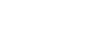 Chartered Accountant