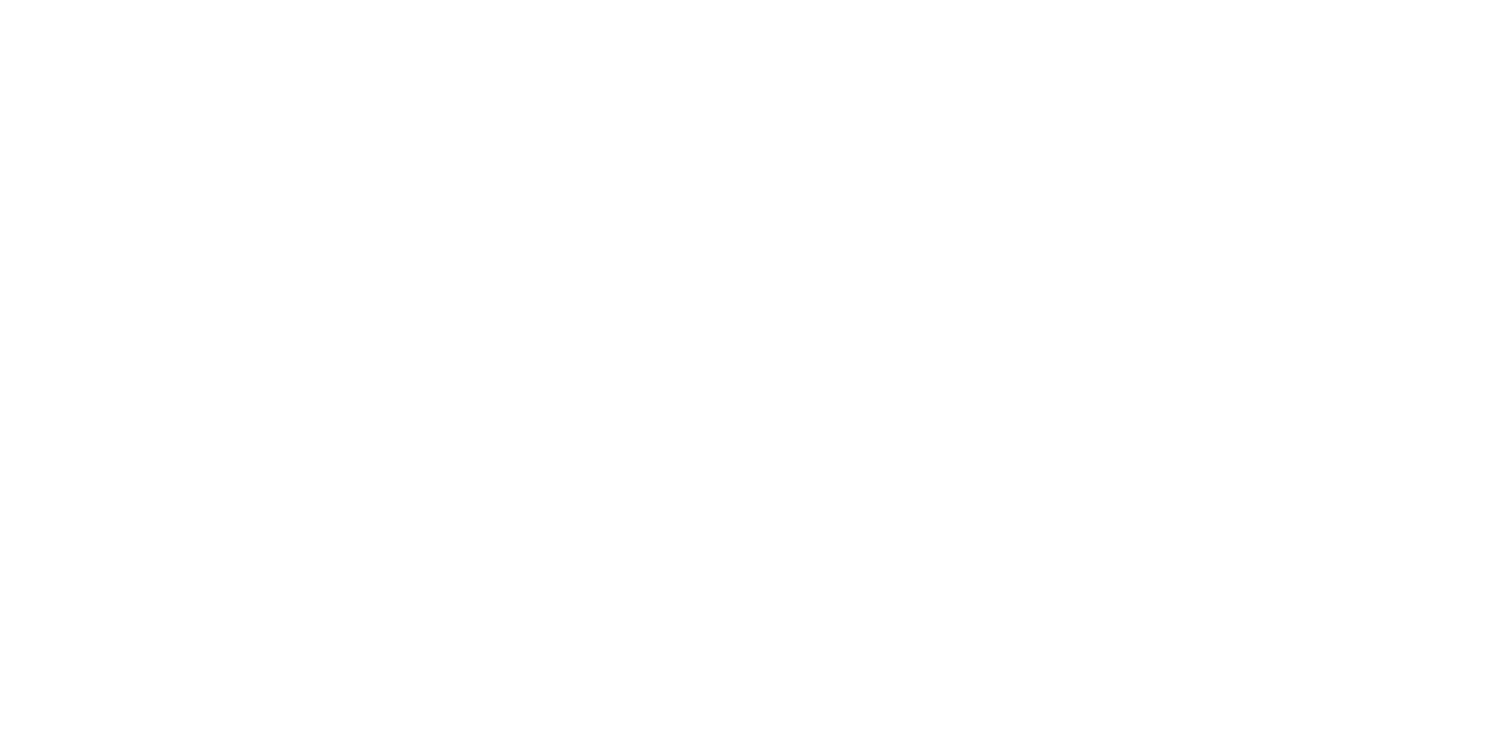 Xero Silver Partner